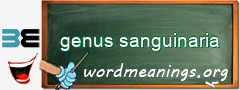 WordMeaning blackboard for genus sanguinaria